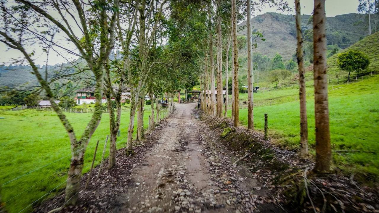 Finca La Playa Ecohotel - Experiencia Campestre - Саленто Экстерьер фото