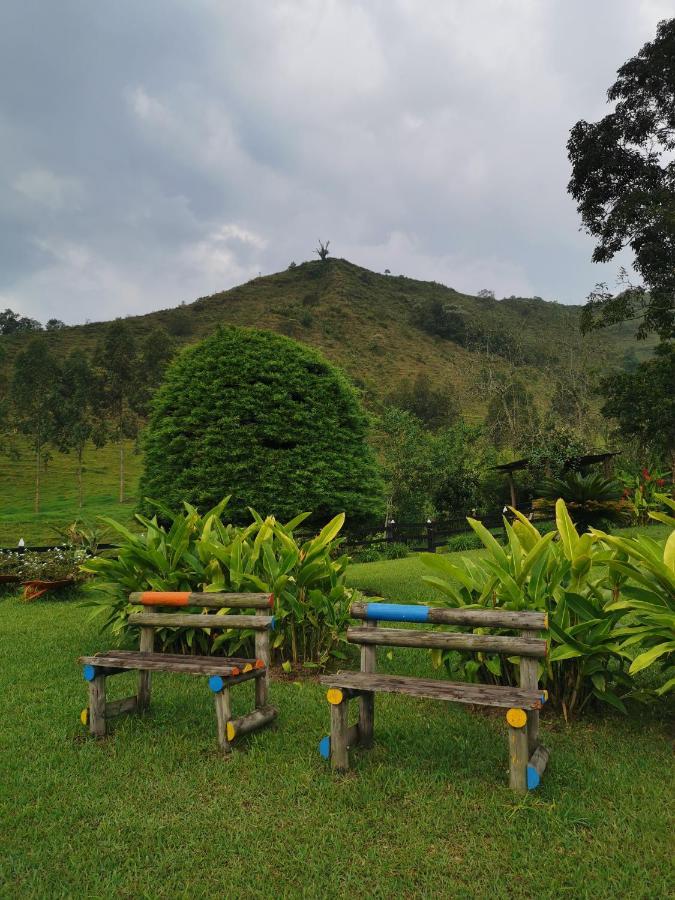 Finca La Playa Ecohotel - Experiencia Campestre - Саленто Экстерьер фото